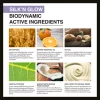 TREATMENT MASK OWAY SILK'N GLOW HAIR MASK ช่วยบำรุงเส้นผมให้นุ่มลื่น - Image 2