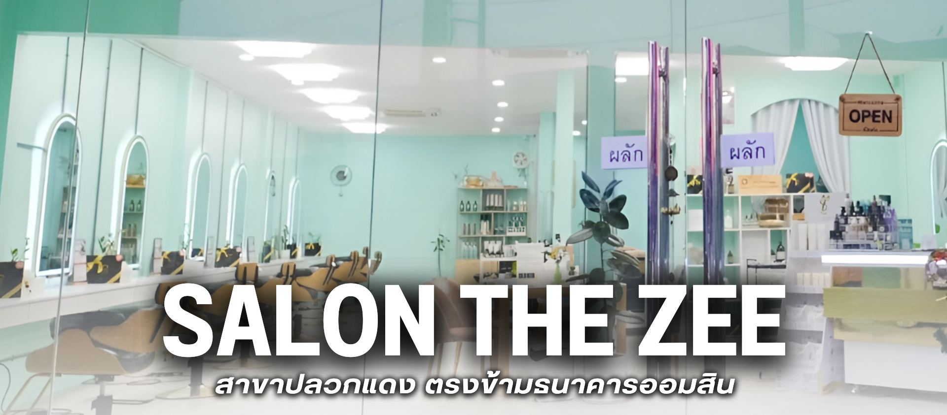 salon the zee (24)